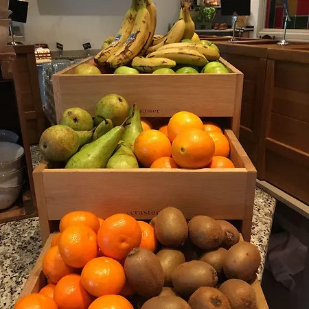 호텔 Tulip Centre 레이든