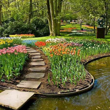 מלון Tulip Centre 3*