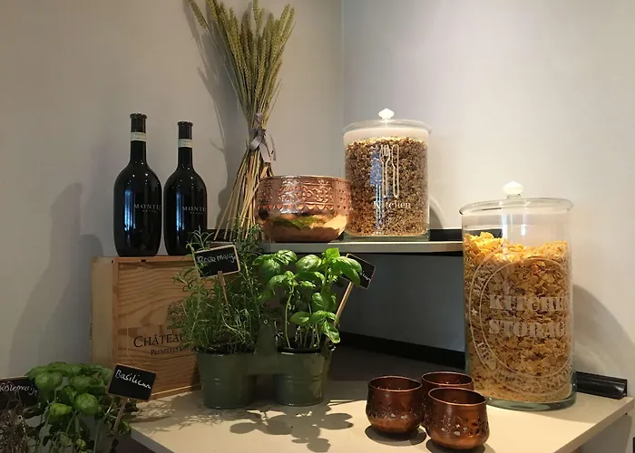 توليب إن سنتر فندق 3*