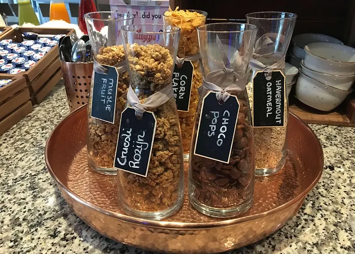 توليب إن سنتر فندق 3*