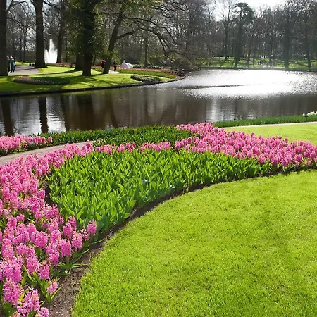 Szálloda Tulip Centre