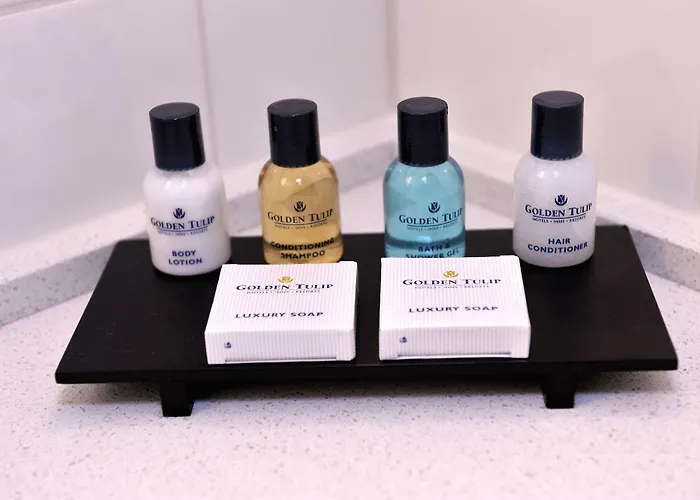 Tulip Centre 3* Leiden